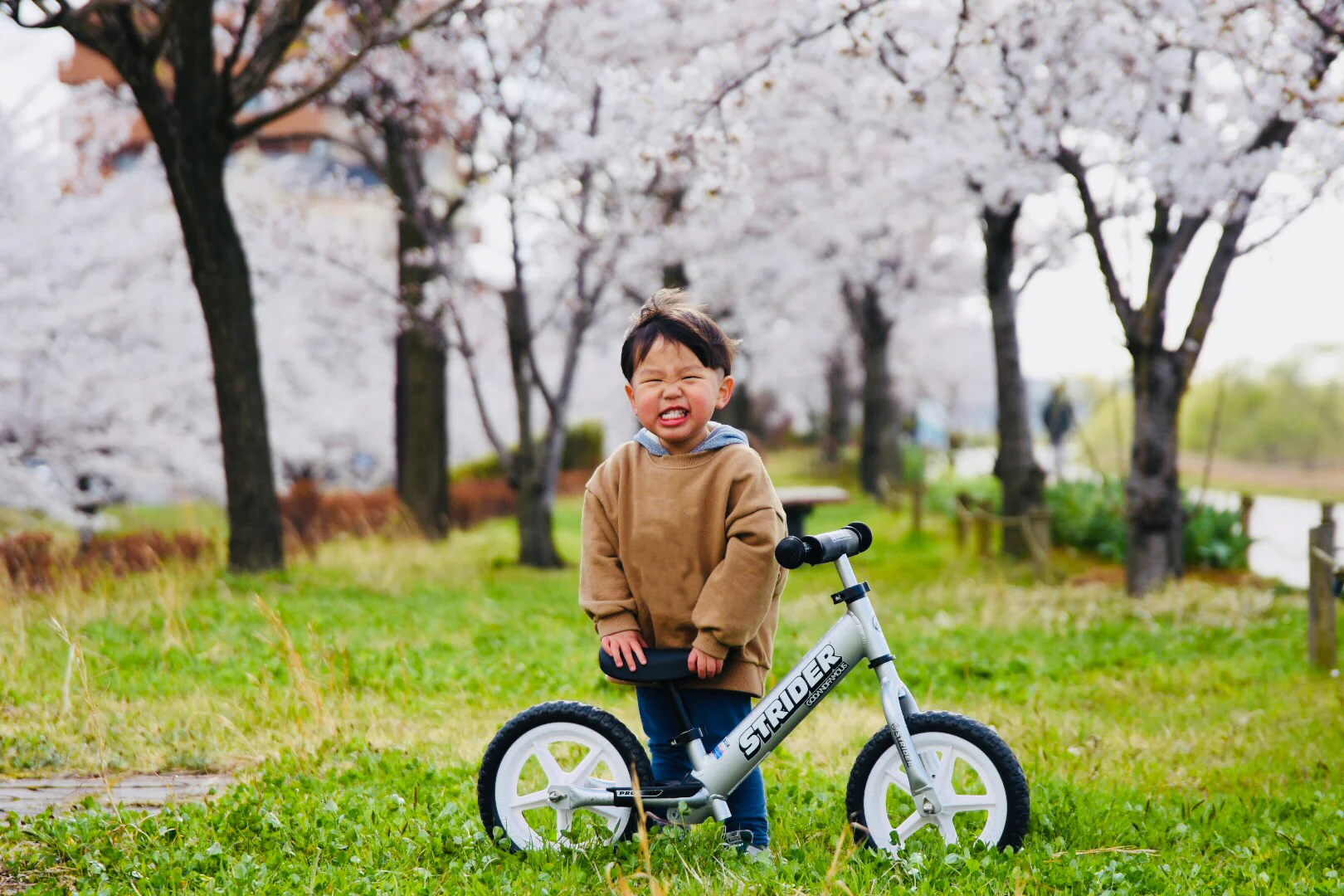 Strider Balance Bike - Image 5